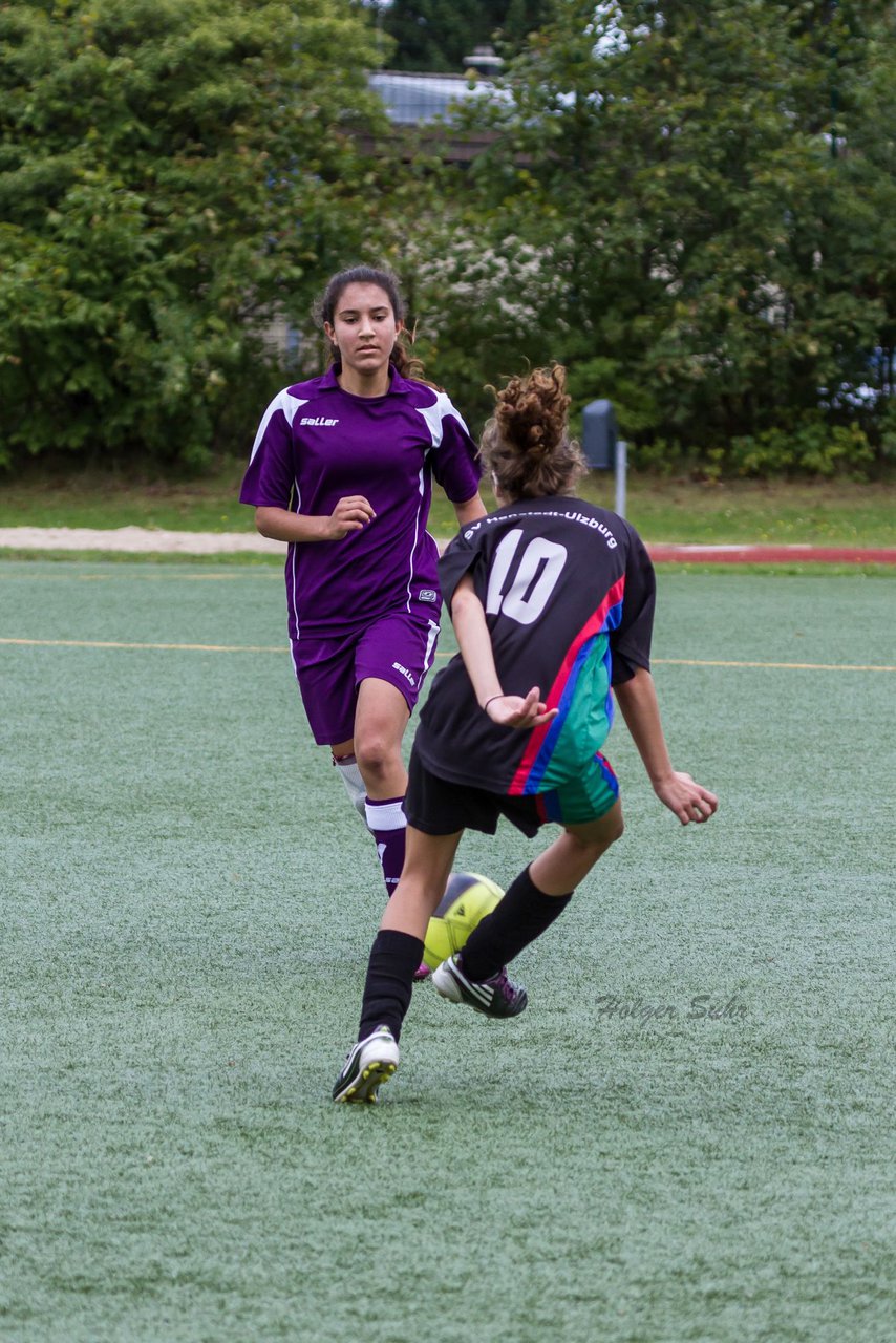 Bild 348 - B-Juniorinnen SV Henstedt Ulzburg - FSC Kaltenkirchen : Ergebnis: 2:2